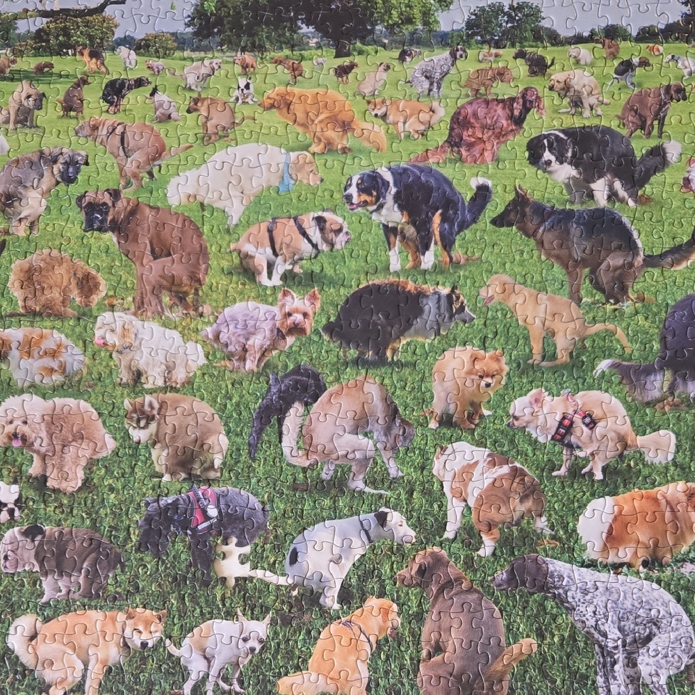Dog Puzzle with Green Background